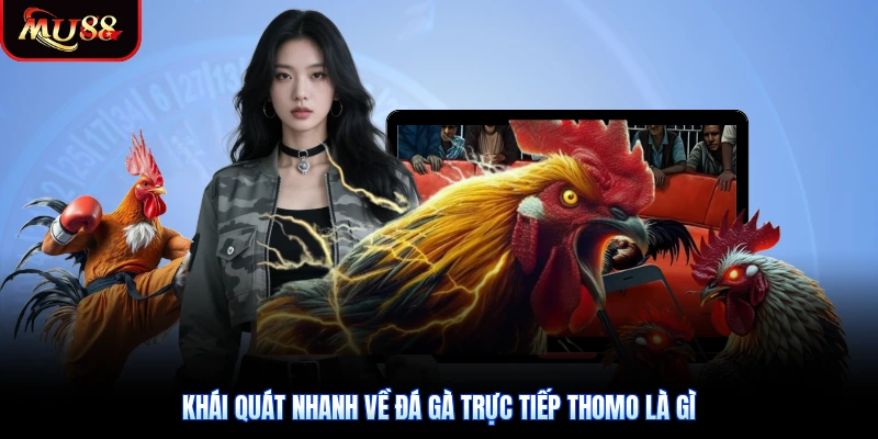 Khái quát nhanh về đá gà trực tiếp Thomo là gì