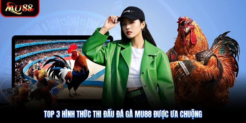 Top 3 hình thức thi đấu đá gà Mu88 được ưa chuộng